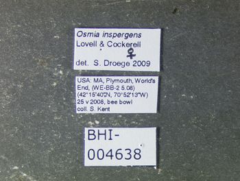 Media type: image;   Entomology 610959 Aspect: labels